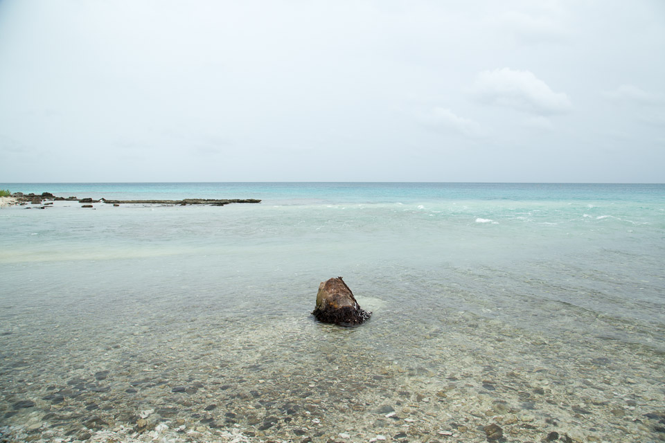 3L9A9417.jpg Tuamotu - Rangiroa - Copyright : See Otherwise 2012 - 2026